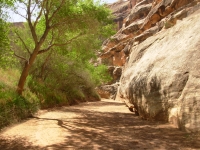 The hike in Grand Gulch